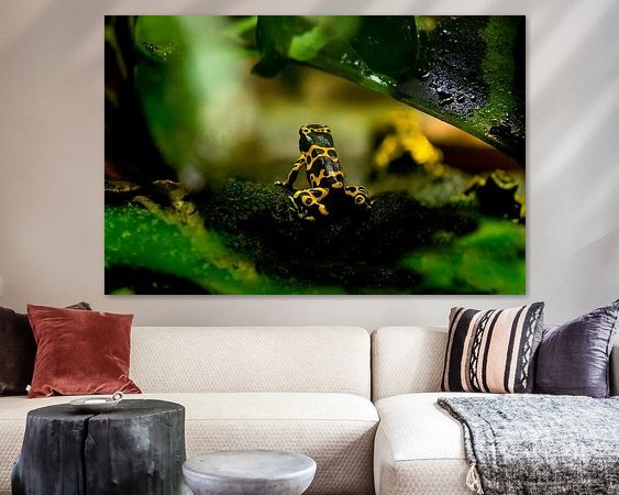 Raumvorschau