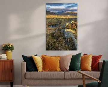 Uitzicht Holmefell Lake District Engeland van Sander Groenendijk