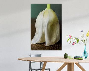 Tulip skirt by Edwin Boer