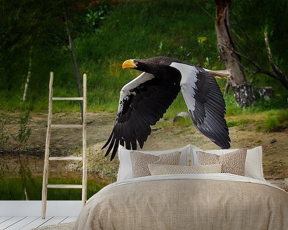 Aperçu de la chambre