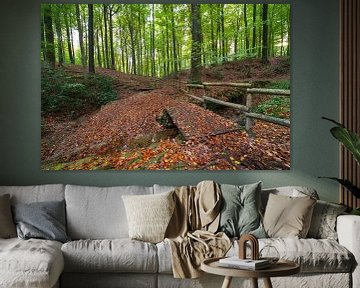 In het bos in Brakel tijdens de Herfst periode.