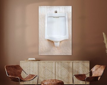 Urinoir bij de mannen toilet van Marcel Derweduwen