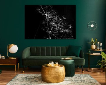 Dark garden