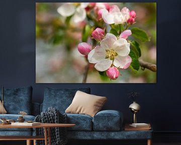 Appelboom bloesems van Karin Jähne
