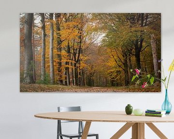 L'automne dans la Veluwe (couleurs d'automne à Speulderbos) sur Esther Wagensveld