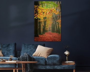 Woldberg in volle Herfstkleuren van Mark van der Walle