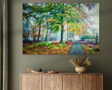 Brouillard dans une forêt d'automne avec de nombreuses couleurs d'automne