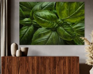 Green basil plant by Leon Brouwer