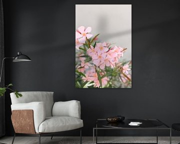 Roze bloemen | Oleander | Italië | Natuur van Mirjam Broekhof