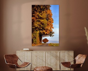 Herbst auf dem Eyserbosweg in Südlimburg von John Kreukniet