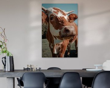 Koeienportret in de Oostenrijk van Dennis van den Worm