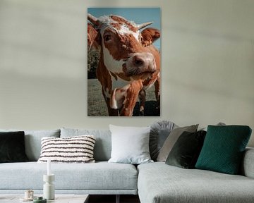 Koeienportret in de Oostenrijk van Dennis van den Worm