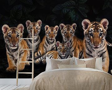 Tiger Cubs by Bert Hooijer