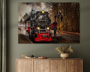 Die Dampflokomotive im Harz von Steffen Henze