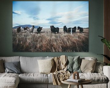 Paarden publiek in IJsland van Timewall by Fay