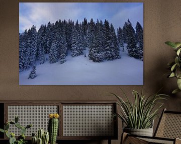 Winterse bomen met sneeuw in het Alpbachtal, Tirol, Oostenrijk van Kelly Alblas