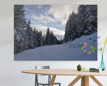 Skipiste met besneeuwde bomen bij zonsondergang in Wildschönau, Tirol, Oostenrijk van Kelly Alblas