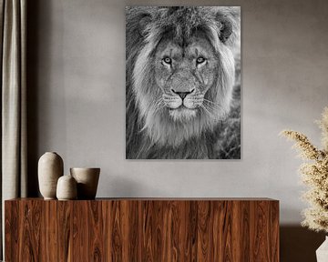 close-up of a lion (man) by Photo and Art