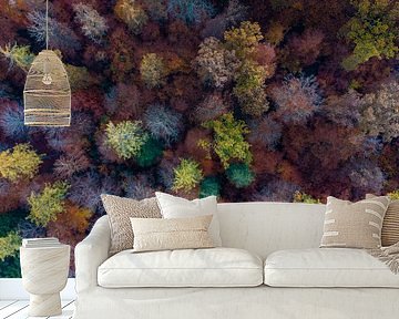 Aerial view deciduous forest in autumn by Werner Dieterich