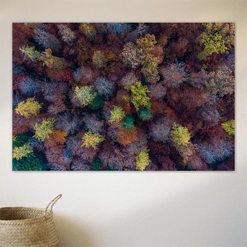 Luchtfoto loofbos in herfst