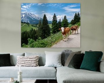 Paysage avec des vaches dans les Alpes de Berchtesgaden sur Animaflora PicsStock