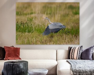 Blauwe reiger take off van Photo and Art