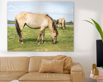 Wild Horses van Sonny Vermeer