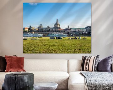 Blick auf das Elbufer in Dresden von Animaflora PicsStock