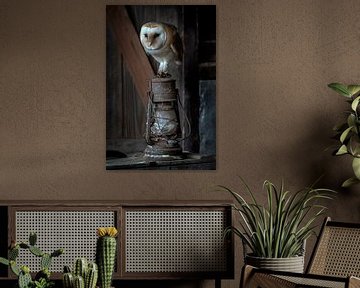 Barn owl in a barn on an oil lamp. by Albert Beukhof