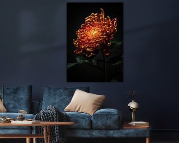 Chrysanthemum by Ramon van Bedaf