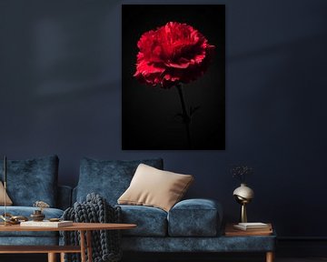 Red carnation by Ramon van Bedaf