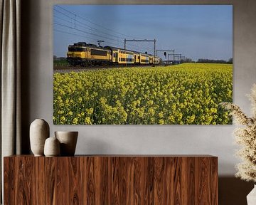 DDAR 1700 in spring by Harold de Groot