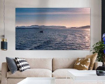 Small fishing boat and seagulls in the ocean off the coast of Norway in winter with snowy mountains by Robert Ruidl