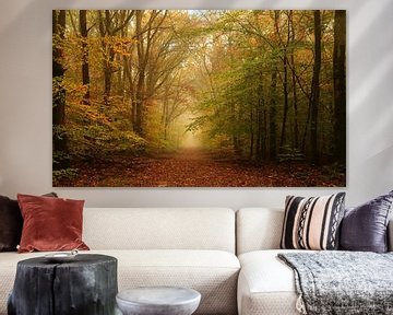 Herbstwald von John Leeninga