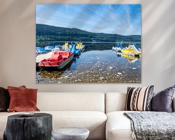 Excursion at the Titisee in the Black Forest by Animaflora PicsStock