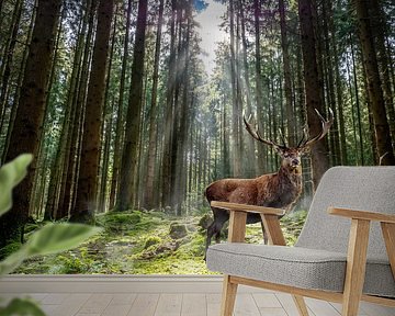 Deer standing in the forest in the morning by Animaflora PicsStock