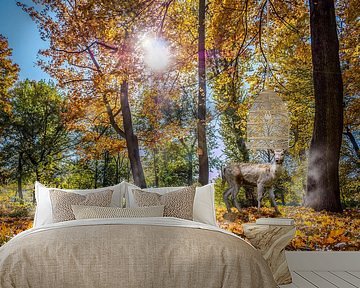 Deer standing in an autumnal forest by Animaflora PicsStock