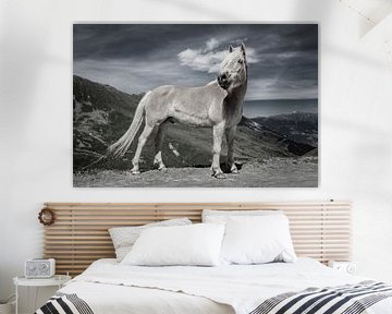 Haflingerpferd in den österreichischen Bergen von Harald lakerveld