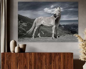 Haflinger paard in de Oostenrijkse bergen van Harald lakerveld