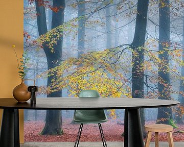 Last Autumn Leaves by Jurjen Veerman