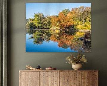 Herfstige weerspiegeling in het meer van Animaflora PicsStock