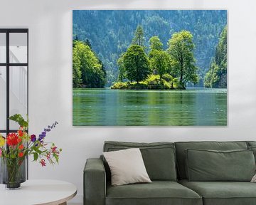 Insel mit Bäumen in Schönau am Königssee von Animaflora PicsStock