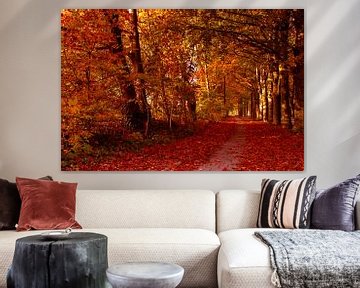 Marche dans la nature avec des couleurs d'automne sur Jolanda de Jong-Jansen
