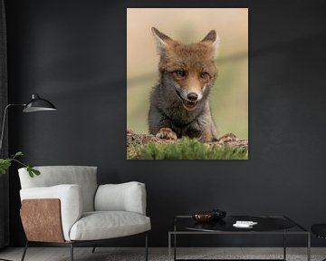 Portret van een jonge vos. van Albert Beukhof