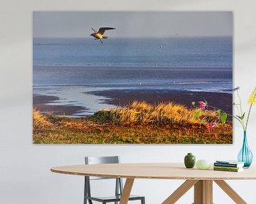 La mer des Wadden à Hooksiel