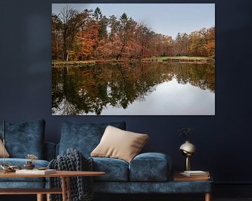 Forêt aux couleurs d'automne avec reflet dans le lac aux Pays-Bas en automne
