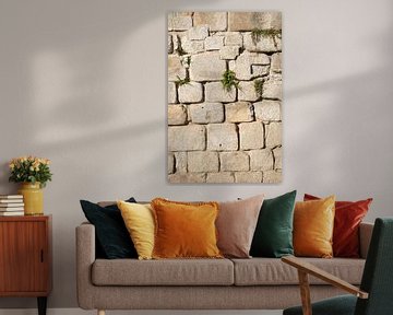 Stone wall with green