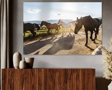 Western paarden rennen naar het weiland - Sundance Western Horse Ranch in Canada van Marit Hilarius