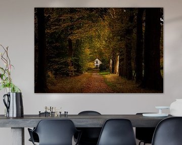 Ferme en lumière d'ambiance dans la forêt sur antonvanbeek.nl