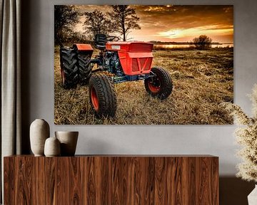 Vieux tracteur rouge dans un champ de roseaux sur Sjoerd van der Wal Photographie